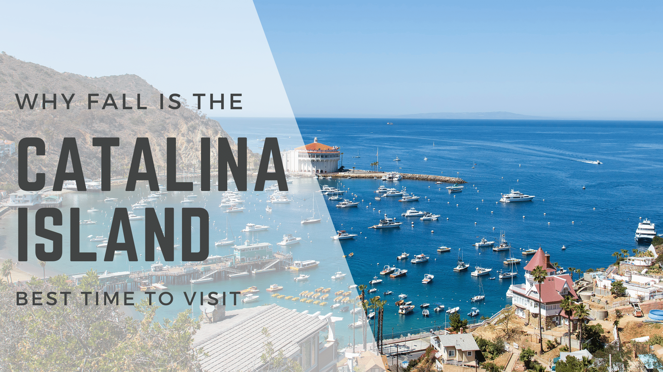 Catalina Island