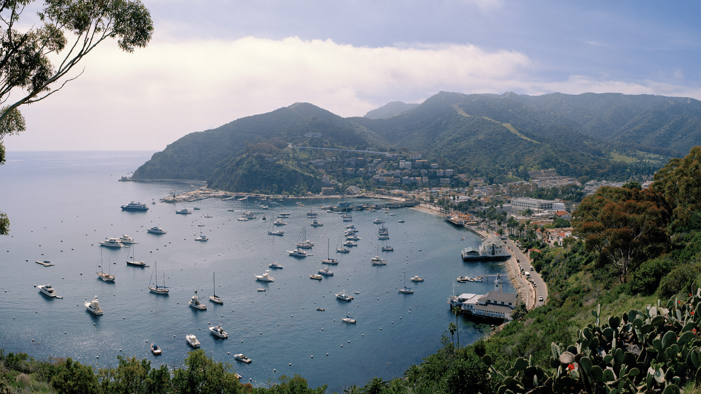 Catalina Island, Southern, CA 