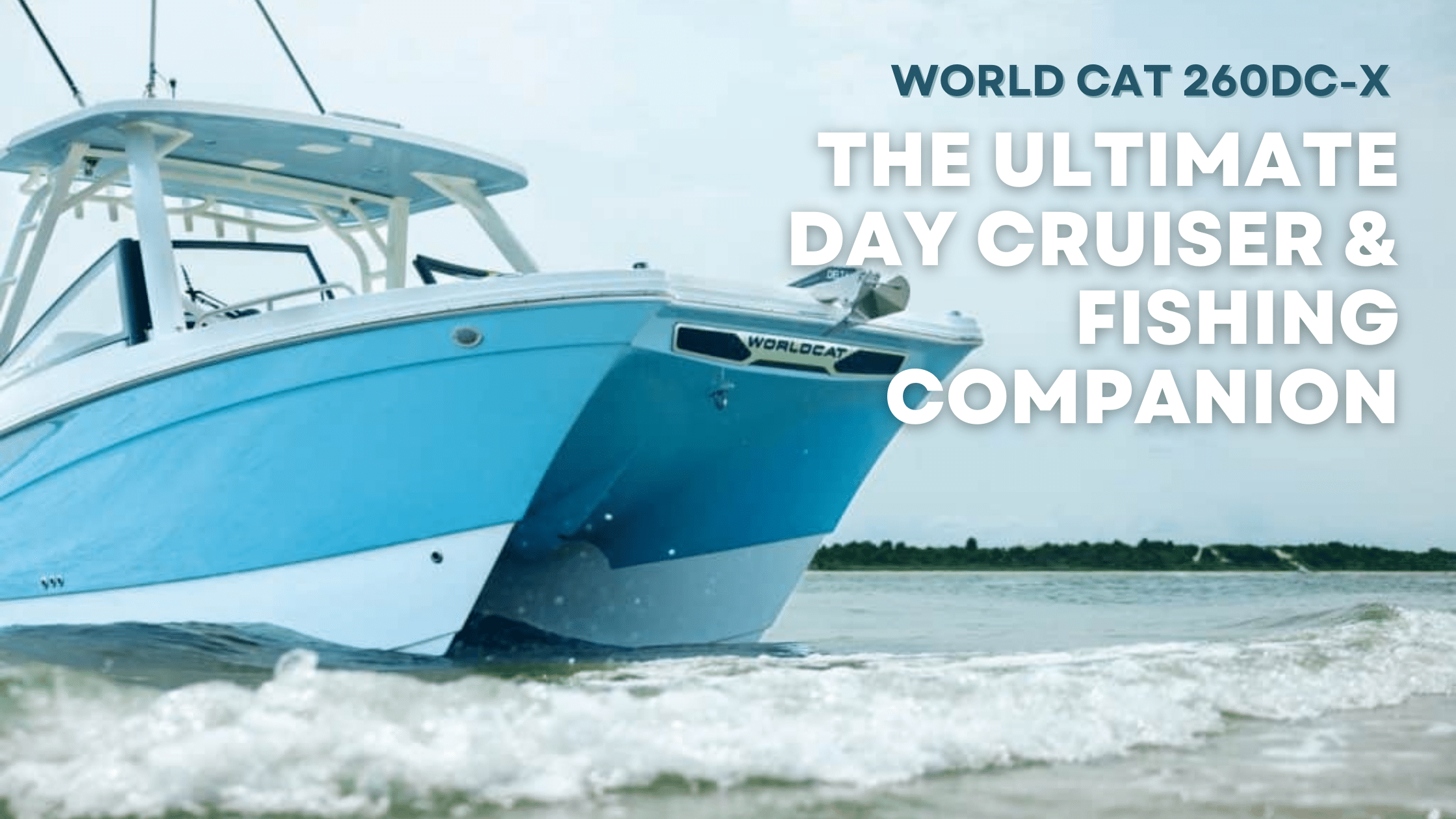 World Cat 260DC-X