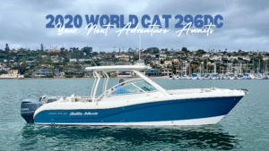 World Cat 296DC