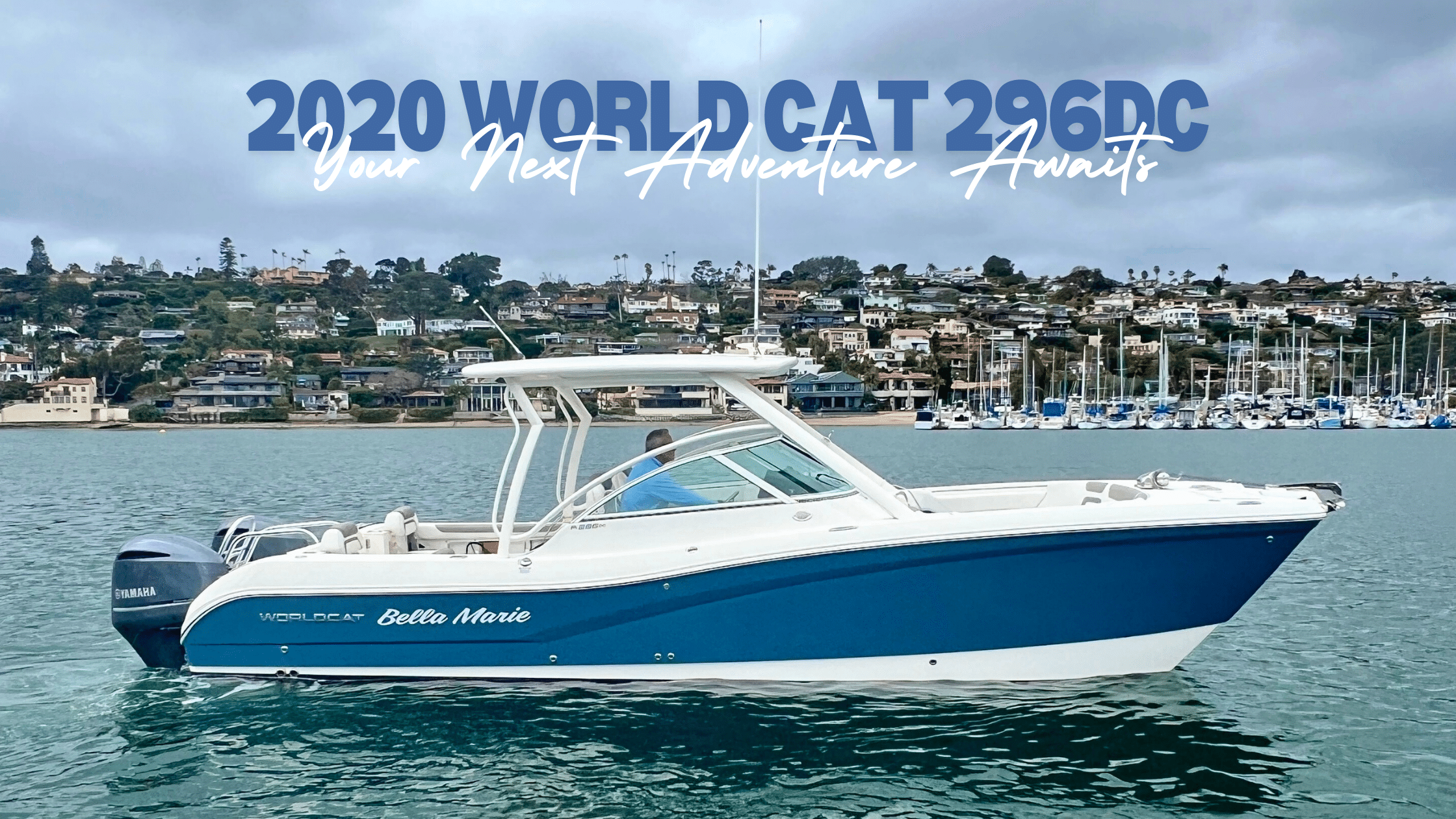 World Cat 296DC
